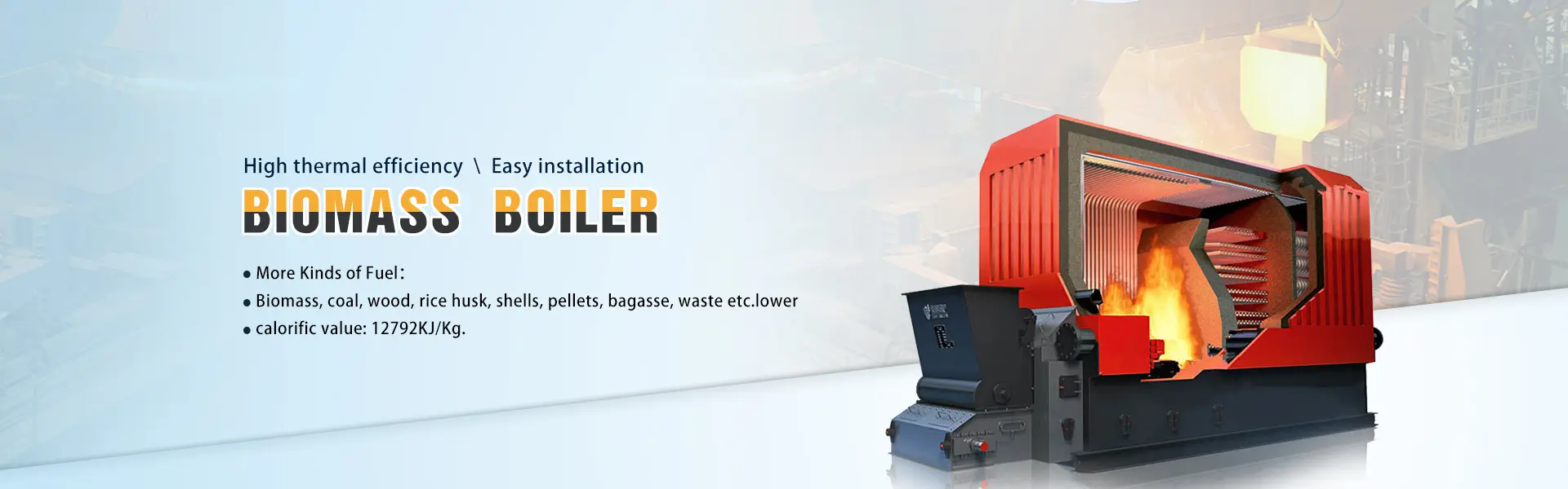 BIOMASS BOILER